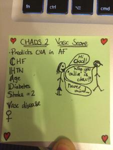 CHADS VASC (PI's)